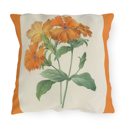Choix des plus belles fleurs, Plate 044 by Pierre Joseph Redouté Outdoor Pillows