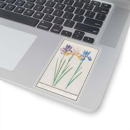 Iris, Iris sibirica by Anselmus Boëtius de Boodt Kiss-Cut Stickers (4 Sizes)