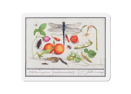 Natural History Ensemble, No. 7 Die-Cut Magnets (5 Sizes)
