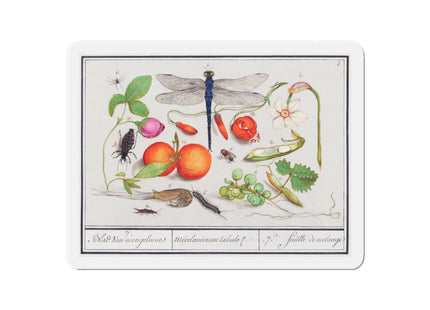 Natural History Ensemble, No. 7 Die-Cut Magnets (5 Sizes)