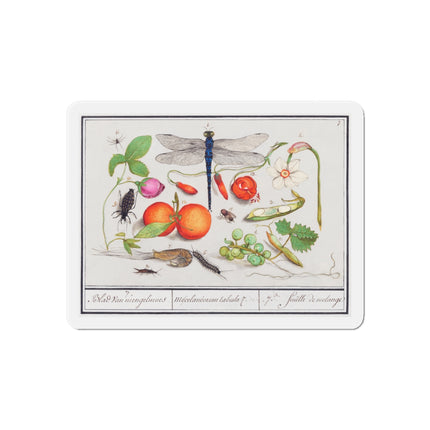 Natural History Ensemble, No. 7 Die-Cut Magnets (5 Sizes)