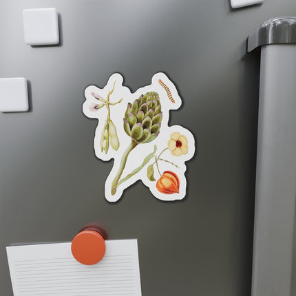 Artichoke, Broad Beans, and Lantern Plant by Anselmus Boëtius de Boodt Die-Cut Magnets (5 Sizes)