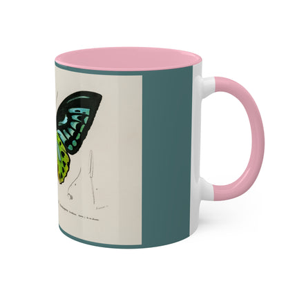 Green Birdwing by Charles Dessalines D' Orbigny Colorful Mugs, 11oz