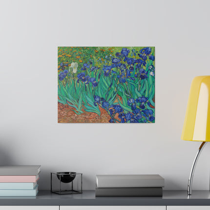 Irises by Vincent Van Gogh Matte Canvas, Stretched, 0.75"