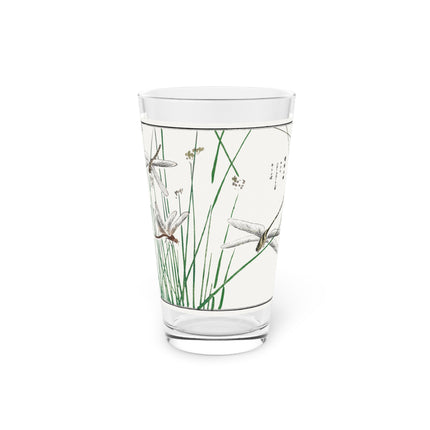 Dragonflies by Morimoto Toko Glass, 16oz