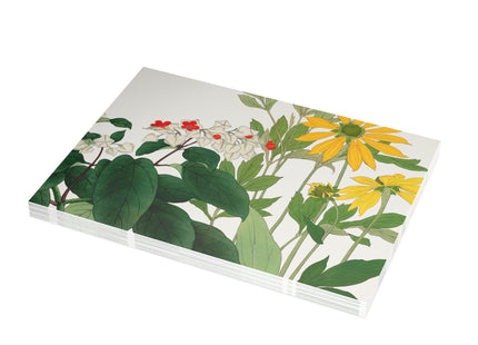 Clerodendrum & Rudbeckia by Tanigami Kônan Postcards (envelopes included) - Bundles of 10, 30, 50 Pieces