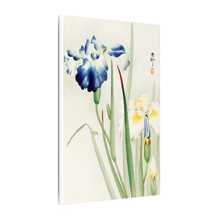 Irises in Bloom by Ohara Koson – Japanese Elegance