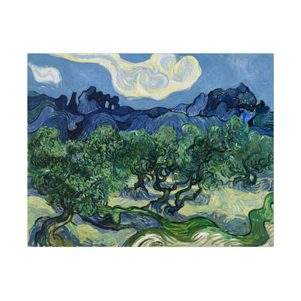 Olive Trees by Vincent Van Gogh Matte Canvas, Stretched, 0.75"