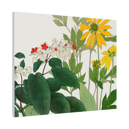 Clerodendrum and Rudbeckia by Tanigami Kônan – Japanese Botanical Harmony