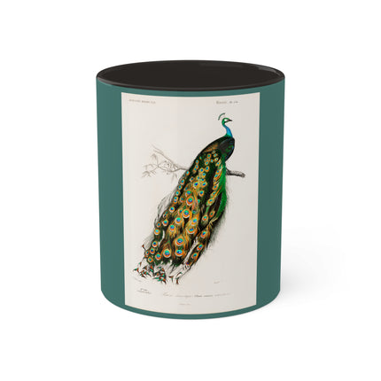 Indian Peafowl by Charles Dessalines D' Orbigny Colorful Mugs, 11oz
