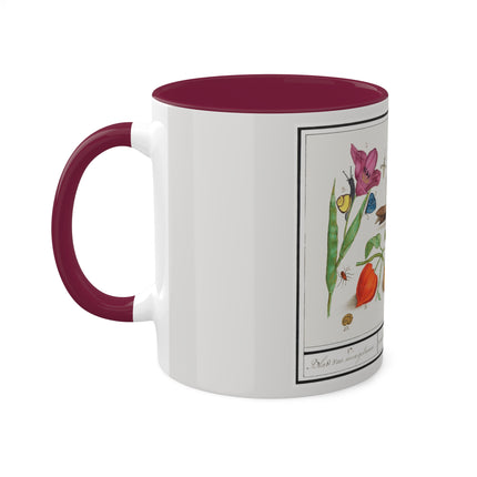 Natural History Ensemble, No. 17 by Anselmus Boëtius de Boodt Colorful Mugs, 11oz
