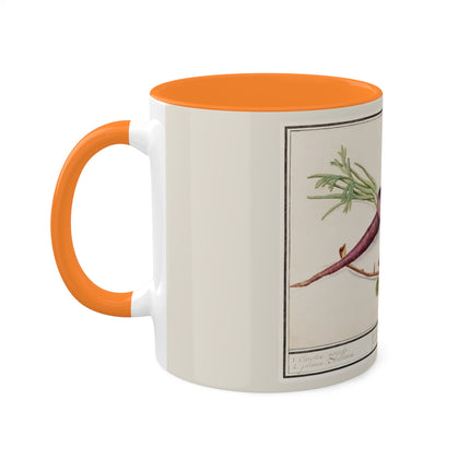 Carrot, Daucus Carota and Red currant, Ribes rubrum by Anselmus Boëtius de Boodt Colorful Mugs, 11oz