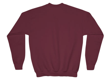 Fairy on a Dragonfly Youth Crewneck Sweatshirt