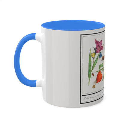 Natural History Ensemble, No. 17 by Anselmus Boëtius de Boodt Colorful Mugs, 11oz