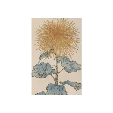 Chrysanthemum Harmony Fine Art Poster