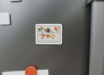 Natural History Ensemble, No. 1 Die-Cut Magnets (5 Sizes)