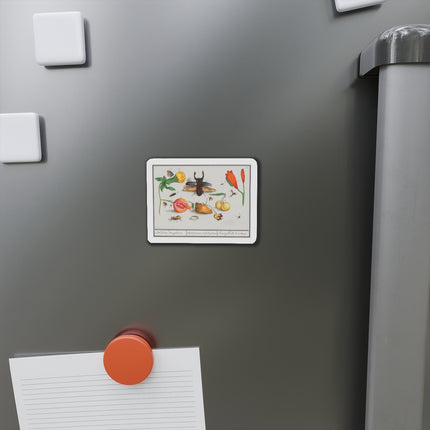 Natural History Ensemble, No. 1 Die-Cut Magnets (5 Sizes)