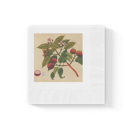 Album of watercolors of Asian fruits and flowers Pl.17 by Anonymous White Coined Napkins