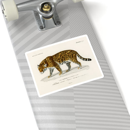 Jaguar by Charles Dessalines D' Orbigny Kiss-Cut Stickers (4 Sizes)