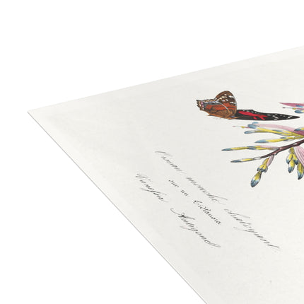 Hummingbird by Paul Gervais Postcards (envelopes included) - Bundles of 10, 30, 50 Pieces