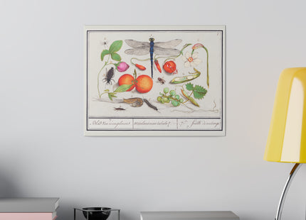 Natural History Ensemble, No. 7 by Anselmus Boëtius de Boodt Matte Matte Canvas, Stretched, 0.75"