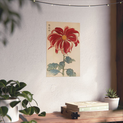 Chrysanthemum Elegance Fine Art Posters