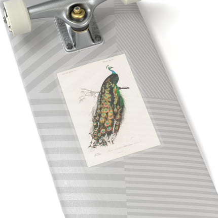 Indian Peafowl by Charles Dessalines D' Orbigny Kiss-Cut Stickers (4 Sizes)