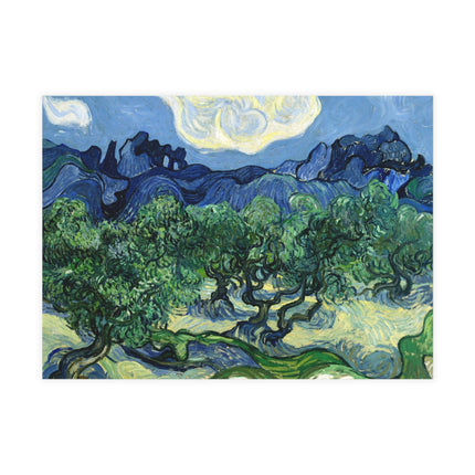 Olive Trees by Vincent Van Gogh Postcards (envelopes included) - Bundles of 10, 30, 50 Pieces