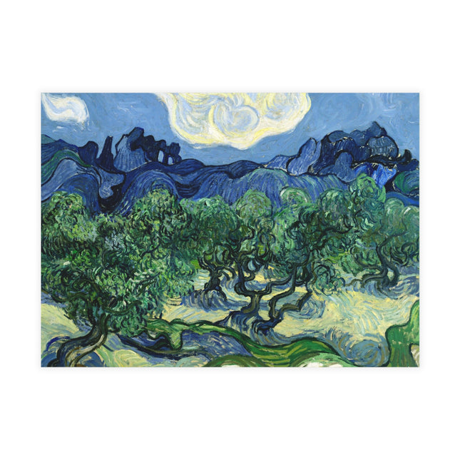 Olive Trees by Vincent Van Gogh Postcards (envelopes included) - Bundles of 10, 30, 50 Pieces