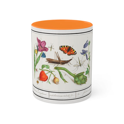 Natural History Ensemble, No. 17 by Anselmus Boëtius de Boodt Colorful Mugs, 11oz