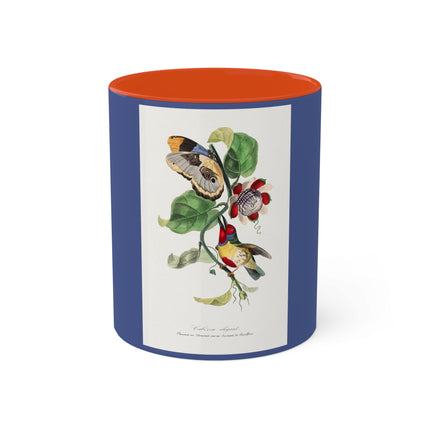 Versicolored Barbet by Paul Gervais Colorful Mugs, 11oz