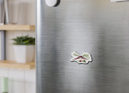 Carrot, Daucus carota and red currant, Ribes rubrum by Anselmus Boëtius de Boodt Die-Cut Magnets (5 Sizes)