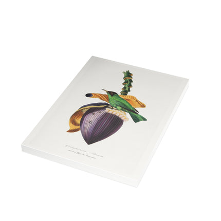 Treecreeper by Paul Gervais Postcards (envelopes included) - Bundles of 10, 30, 50 Pieces