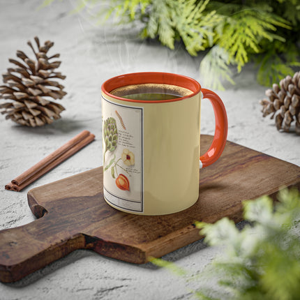 Artichoke, Broad Beans, and Lantern Plant by Anselmus Boëtius de Boodt Colorful Mugs, 11oz