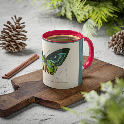 Green Birdwing by Charles Dessalines D' Orbigny Colorful Mugs, 11oz