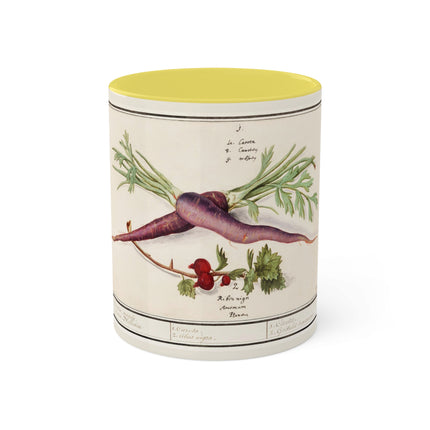Carrot, Daucus Carota and Red currant, Ribes rubrum by Anselmus Boëtius de Boodt Colorful Mugs, 11oz