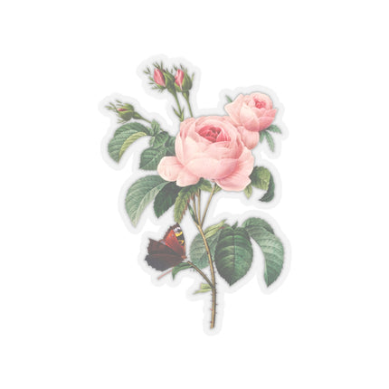 Cabbage Rose botanical illustration by Pierre-Joseph Redouté Kiss-Cut Stickers (4 Sizes)