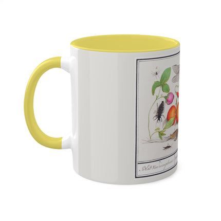 Natural History Ensemble, No. 7 by Anselmus Boëtius de Boodt Colorful Mugs, 11oz