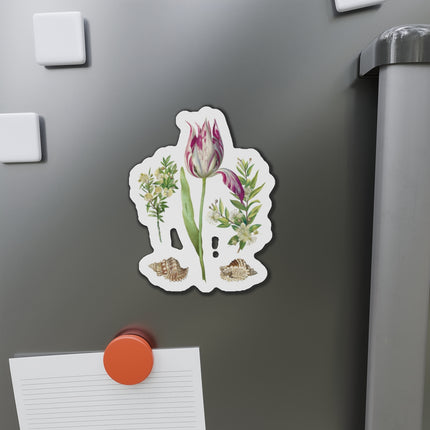 Tulip, Branches of Myrtle, and Shells by Maria Sibylla Merian Die-Cut Magnets (5 Sizes)