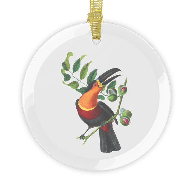 Channel Billed Toucan by Paul Gervais Glass Ornament