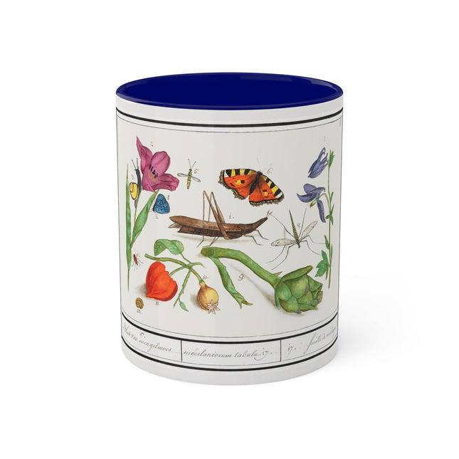 Natural History Ensemble, No. 17 by Anselmus Boëtius de Boodt Colorful Mugs, 11oz