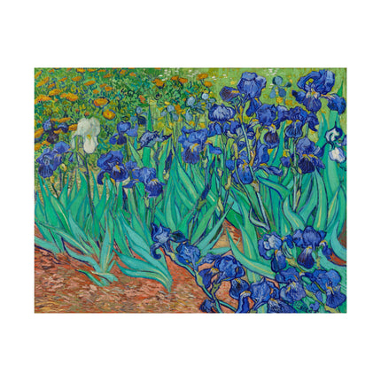 Irises by Vincent Van Gogh Matte Horizontal Posters