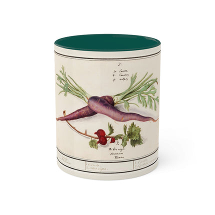 Carrot, Daucus Carota and Red currant, Ribes rubrum by Anselmus Boëtius de Boodt Colorful Mugs, 11oz