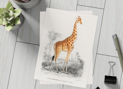 Giraffe by Charles Dessalines D'Orbigny Postcards (envelopes included) - Bundles of 10, 30, 50 Pieces