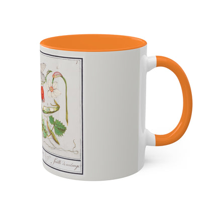 Natural History Ensemble, No. 7 by Anselmus Boëtius de Boodt Colorful Mugs, 11oz