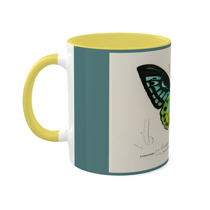 Green Birdwing by Charles Dessalines D' Orbigny Colorful Mugs, 11oz