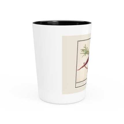 Carrot, Daucus carota and red currant, Ribes rubrum by Anselmus Boëtius de Boodt Ceramic Shot Glass
