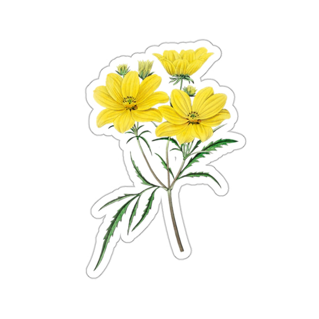 Vintage Yellow Coreopsis Flower Kiss-Cut Stickers (4 Sizes)
