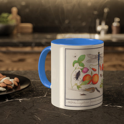 Natural History Ensemble, No. 7 by Anselmus Boëtius de Boodt Colorful Mugs, 11oz