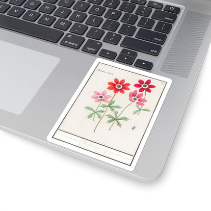 Anemoon, Anemone by Anselmus Boëtius de Boodt Kiss-Cut Stickers (4 Sizes)